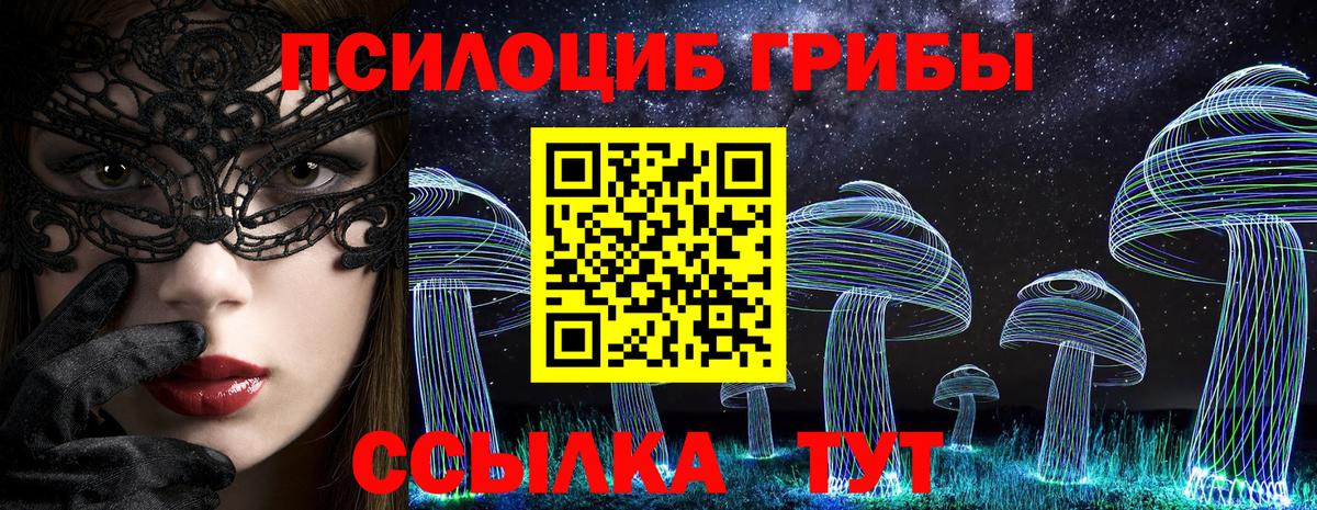 Псилоцибиновые грибы мицелий Самара