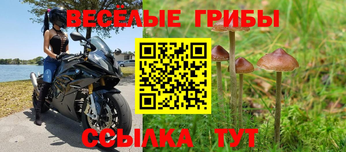 где найти наркотики  Галлюциногенные грибы Psilocybe  Вход с VPN  Самара 