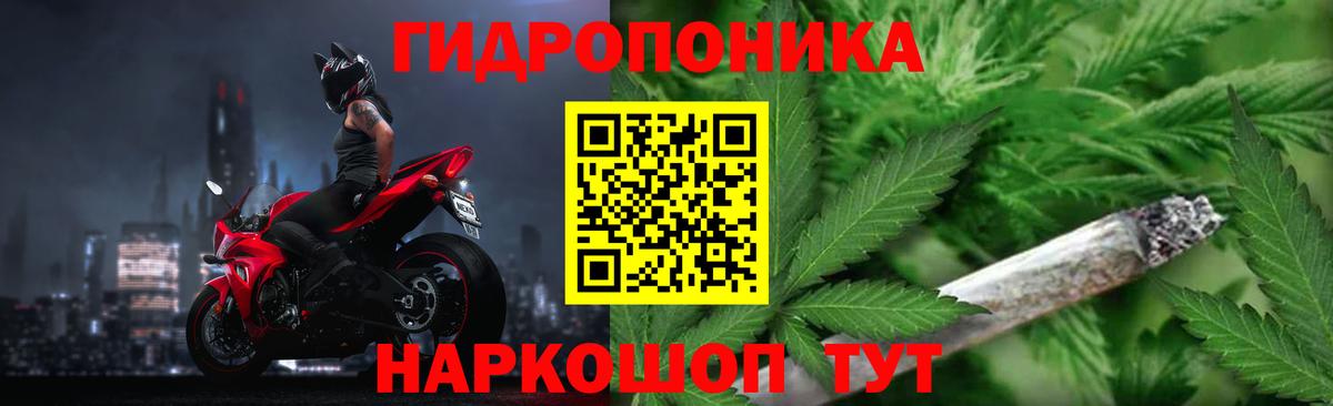 Бошки Шишки планчик Самара